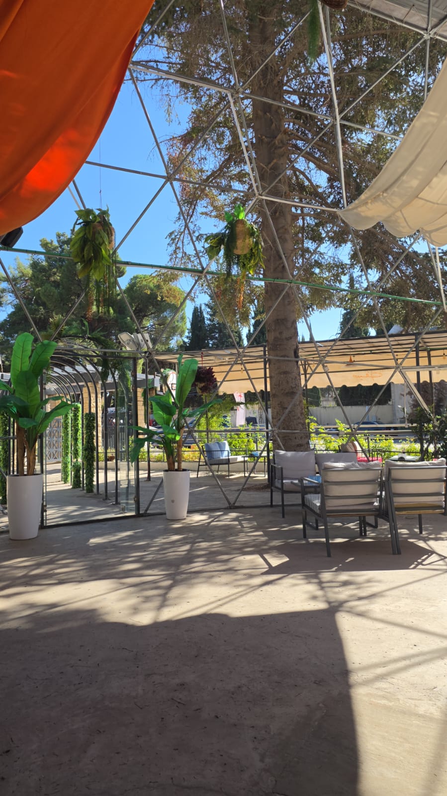 Saif Cafe open-air garden seating